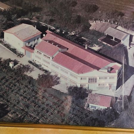 La Nursery De Mas Guillo San Quintín de Mediona Εξωτερικό φωτογραφία